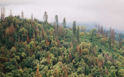 Duke Energy Winter Peak Targeted DSM Plan